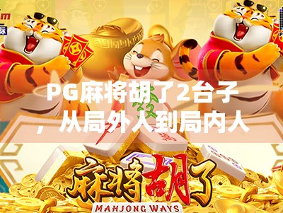 PG麻将胡了2台子,从局外人到局内人,我的麻将逆袭之路