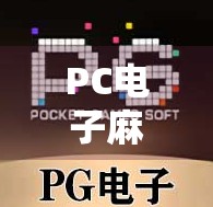 PC电子麻将胡了技巧全解析，从入门到精通，轻松赢在起跑线！