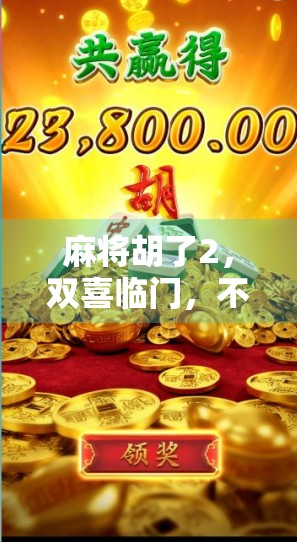 麻将胡了2，双喜临门，不只是运气，更是人生智慧的博弈